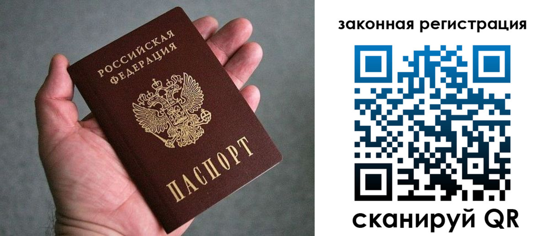 купить прописку в Ковдоре